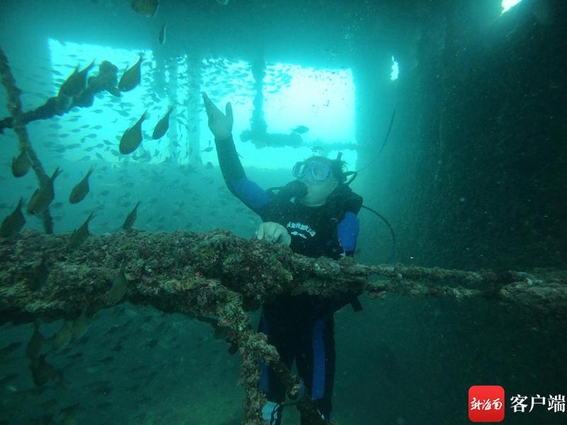 海洋种植致富项目_海洋养殖产品_海洋种植技术