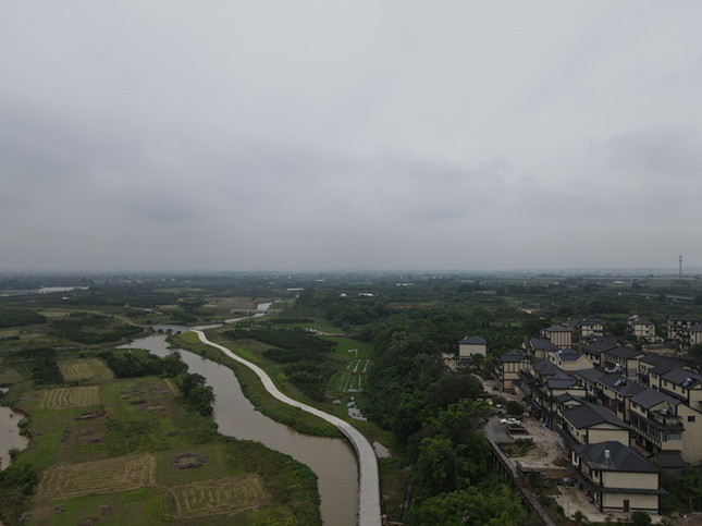 衢州种植致富茶_衢州茶叶_致富种植衢州茶怎么样