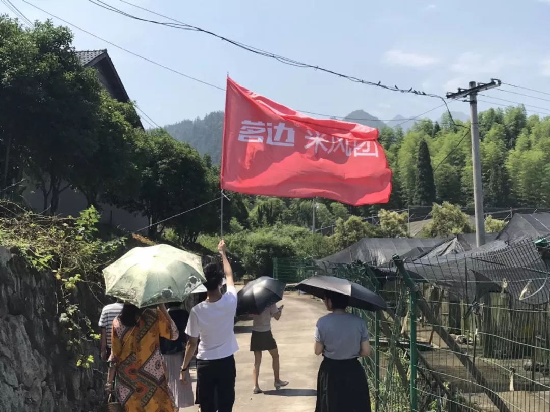 衢州种植致富茶_浙江衢州产茶叶吗_衢州茶叶