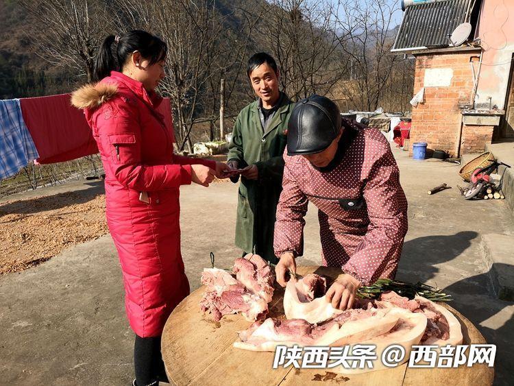 农村土猪养殖前景_养殖土猪致富_致富经土猪养殖视频