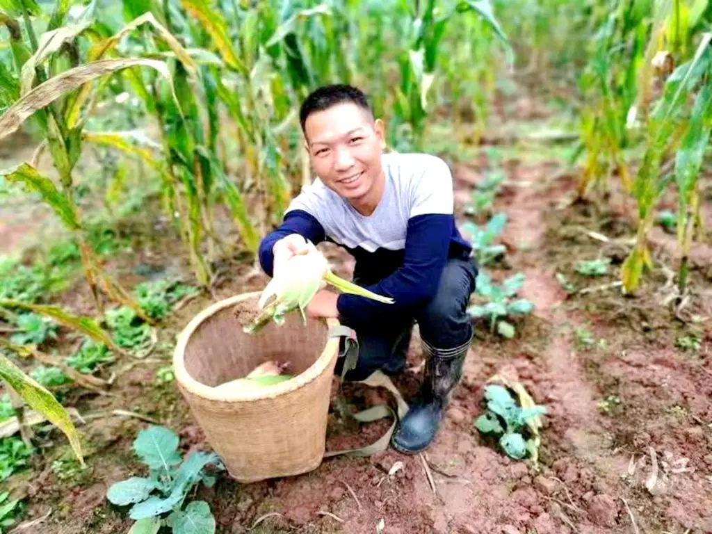 专稿｜科技赋能田间 90后大学生返乡种地带民致富