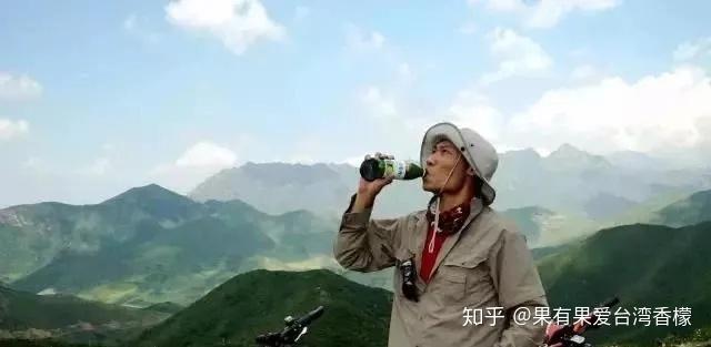 海南种植什么不愁销路_致富经种植海南_海南致富经种植类