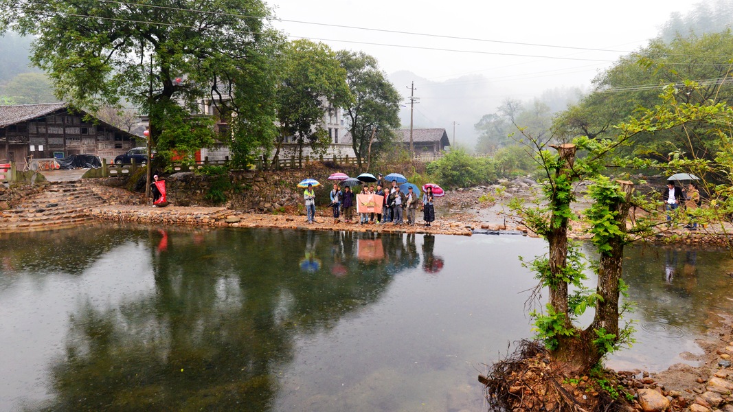 衢州的茶叶品种_衢州种植致富茶_浙江衢州产茶叶吗