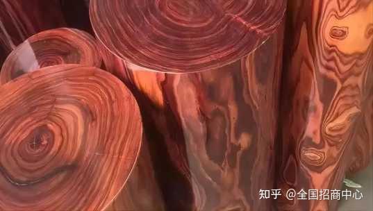 海南种植业前景_致富经种植海南_海南致富经种植类