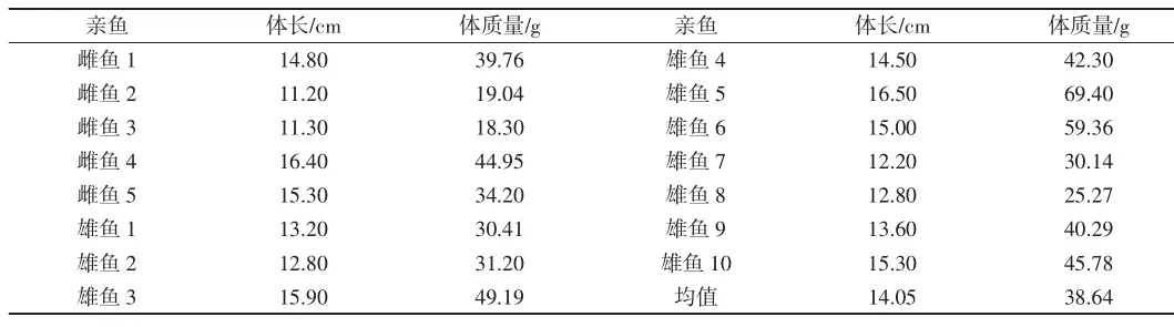 嫩子鱼养殖技术_鱼养殖技术视频教程_鱼养殖技术视频