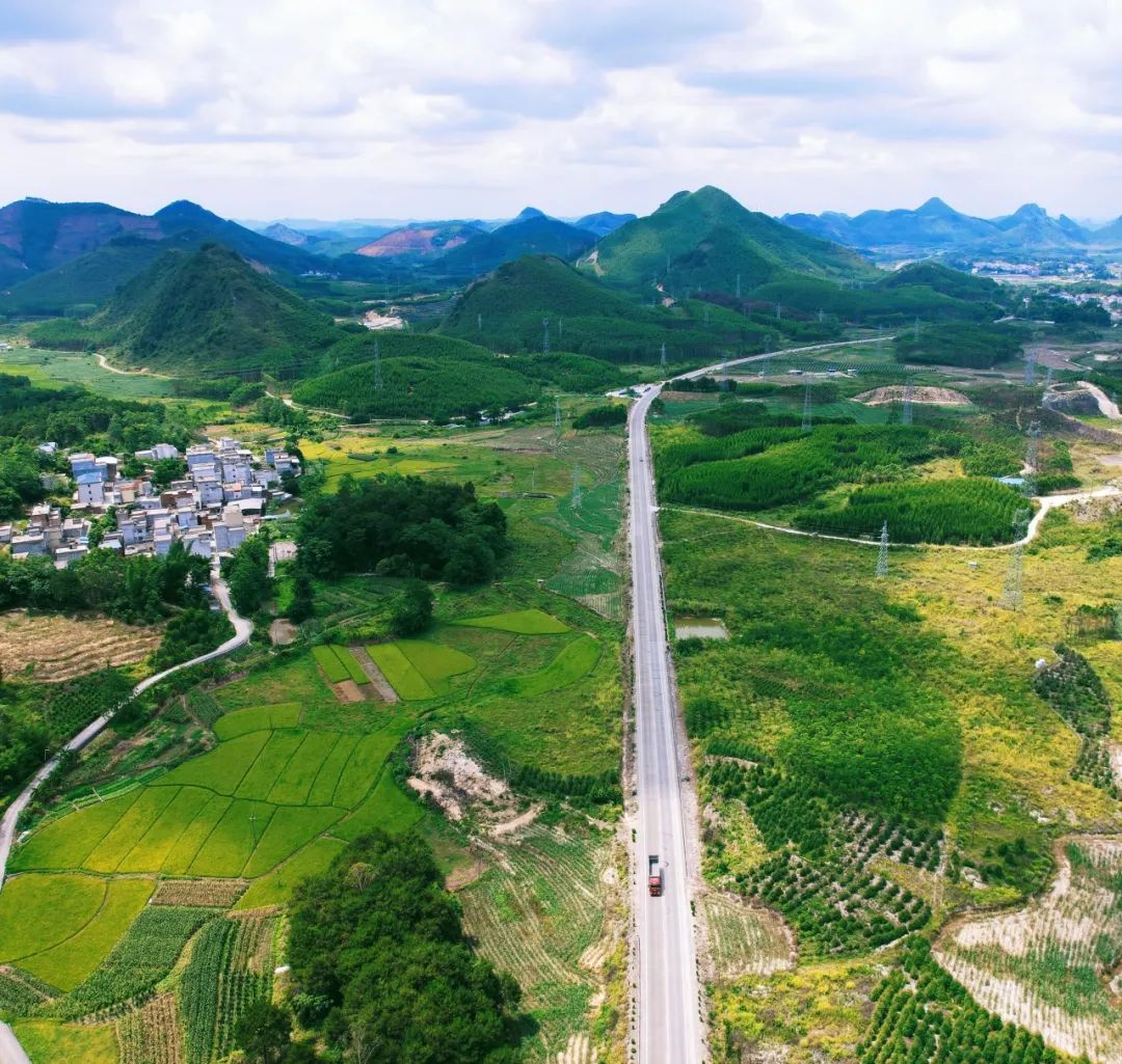 黑皮冬瓜种植成本_黑皮冬瓜种植技术视频_种植黑皮冬瓜致富