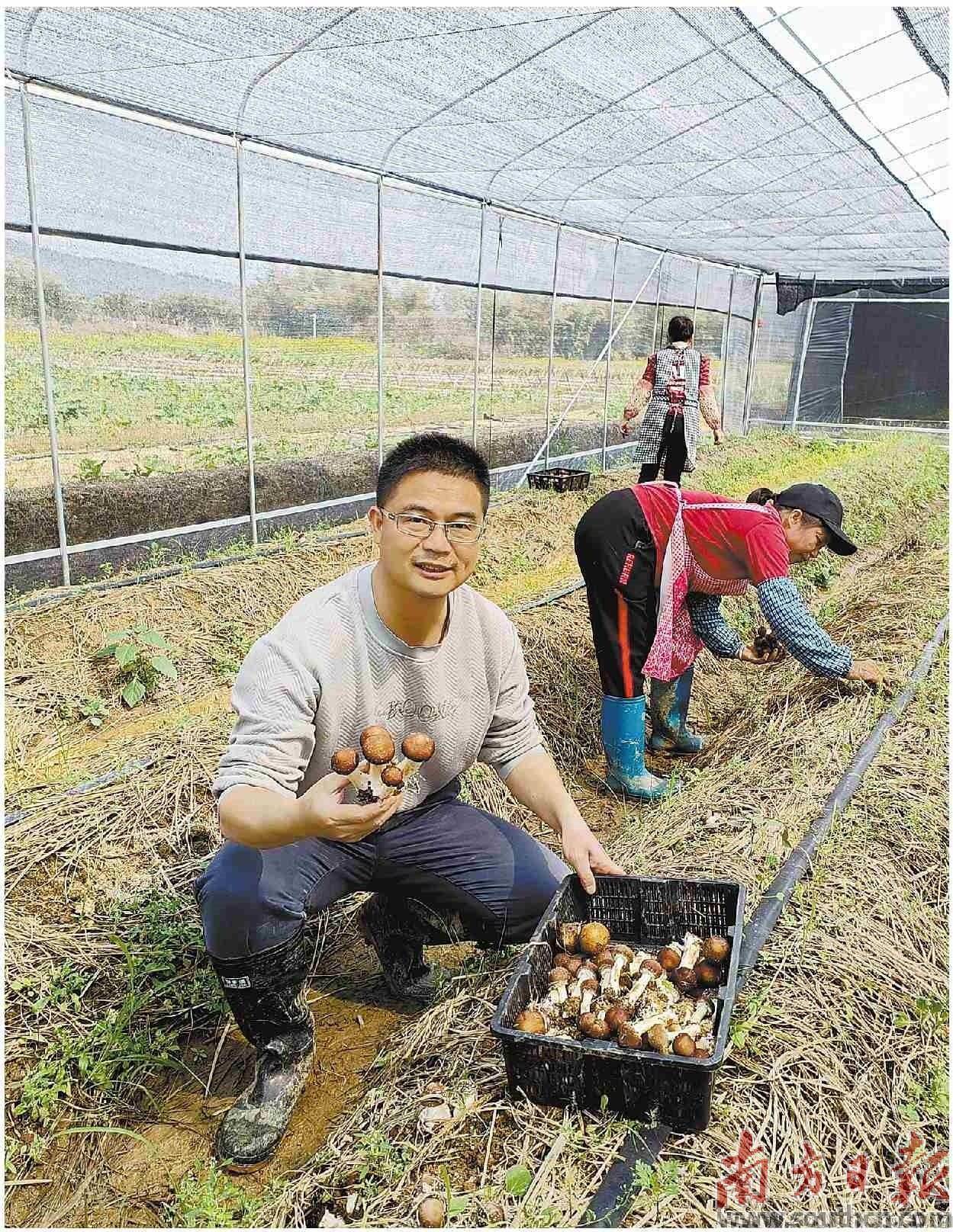 致富种植农业趋势图_致富种植农业趋势图片_农业种植致富趋势