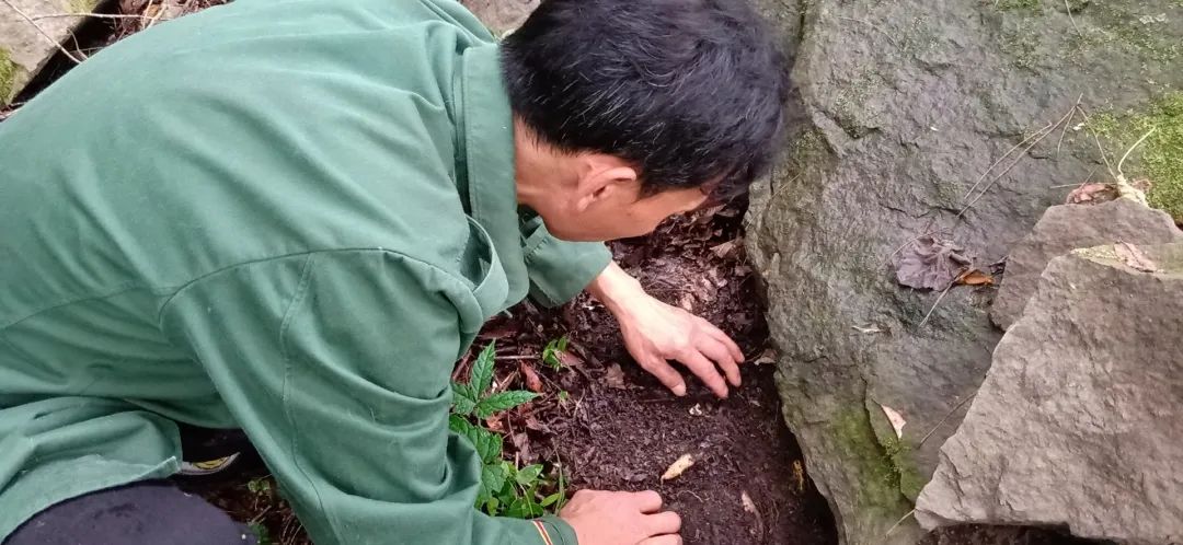 养殖致富巴中_四川巴中养殖业_巴中养殖扶持项目