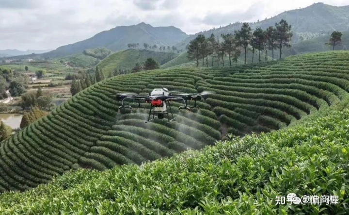 农户致富种植项目有哪些_农户种植致富项目_农民致富种植项目