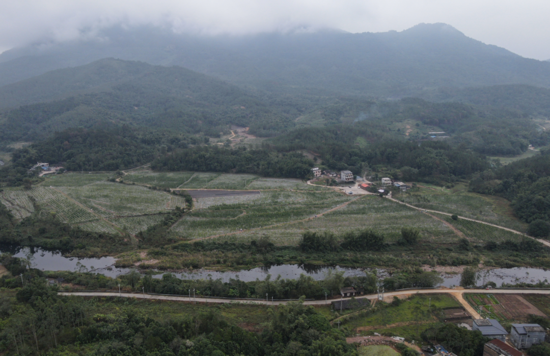 致富种植农民图片_农村种植致富_农民种植和致富