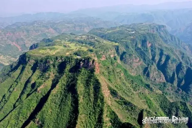 甘肃半夏种植基地_致富经甘肃种植半夏_甘肃半夏收购公司