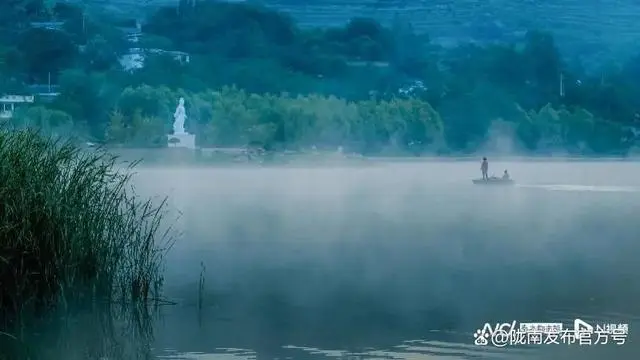 甘肃半夏收购公司_致富经甘肃种植半夏_甘肃半夏种植基地