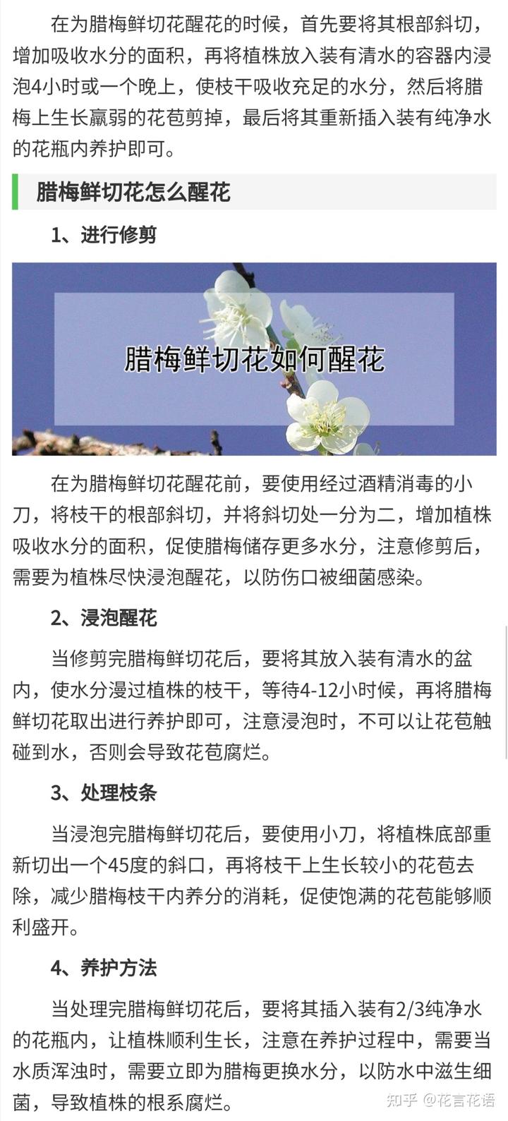 三角梅花的养殖方法视频教程_三角梅花养殖技术和管理_三角梅花养殖技术