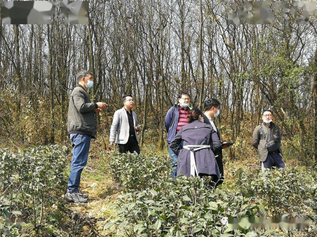 农民种地致富_农民种植和致富_致富种植农民图片