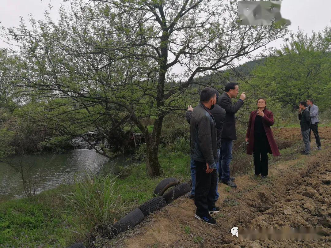 农民种地致富_致富种植农民图片_农民种植和致富