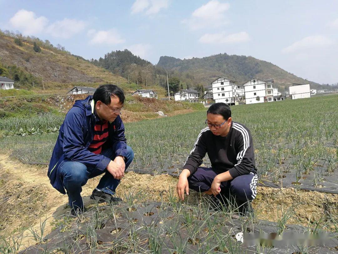 农民种地致富_致富种植农民图片_农民种植和致富