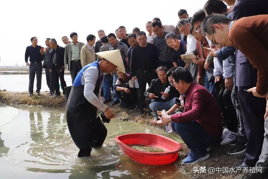 致富养殖好项目_江苏养殖致富项目_致富养殖江苏项目有哪些