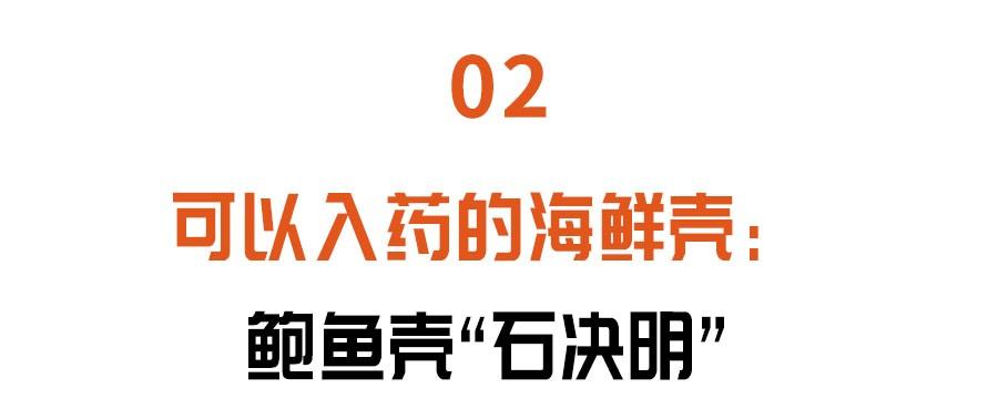 鲍鱼人工养殖技术_人工养殖鲍鱼的功效和作用_养殖人工鲍鱼技术视频教程