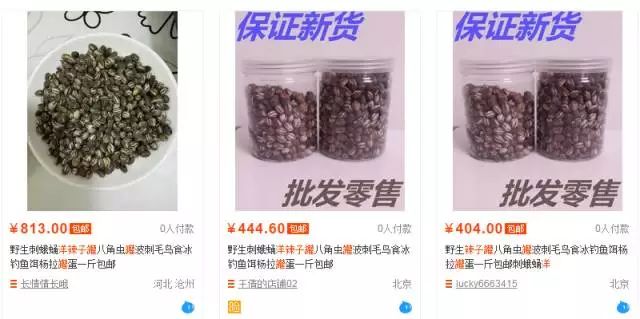 致富小视频_致富经豆丹视频_视频致富经