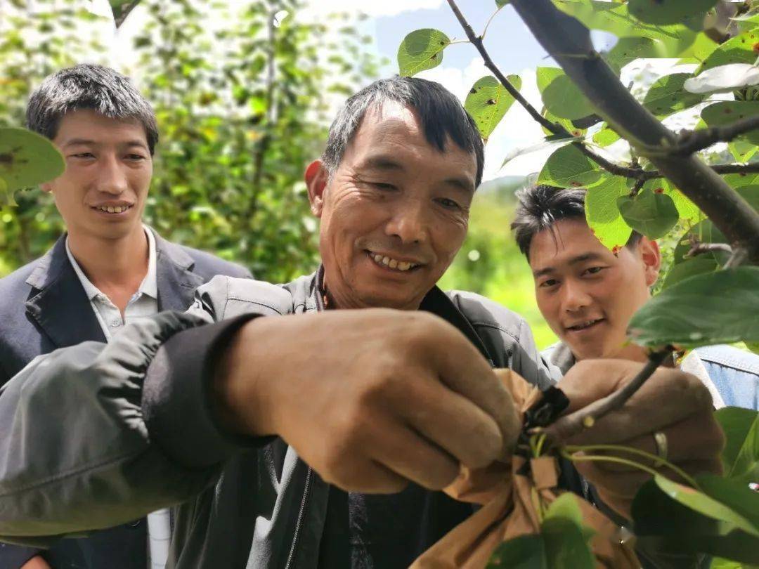 农村种植致富能手事迹材料_农村种植致富能手发言稿_农村致富种植能手