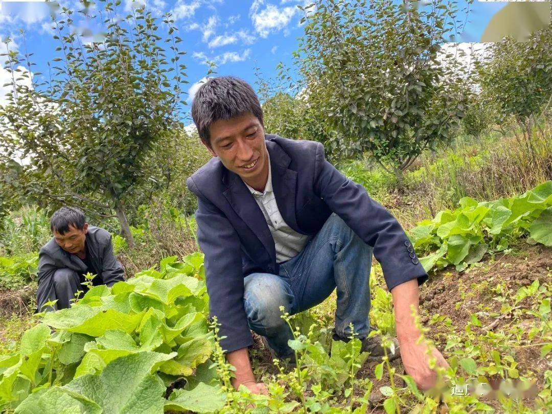 农村种植致富能手事迹材料_农村致富种植能手_农村种植致富能手发言稿