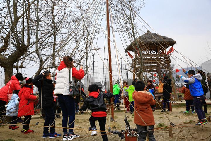 致富经观赏鸽养殖视频_致富经鸽子养殖视频_致富经观赏养鸽视频