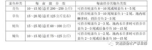 致富养殖青鱼视频_养殖青鱼致富吗_养殖青鱼技术