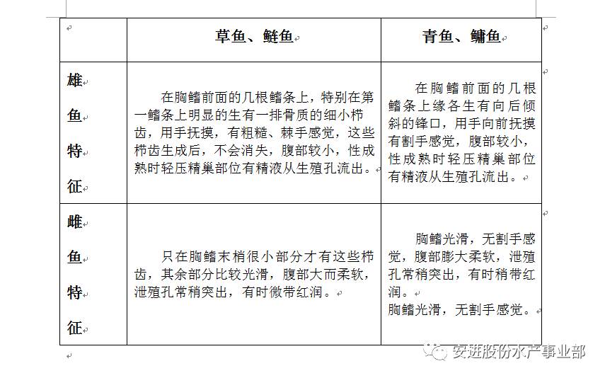 致富养殖青鱼视频_养殖青鱼致富吗_养殖青鱼技术