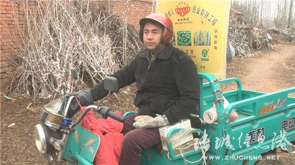 致富种植豆芽绿色植物图片_绿色豆芽苗_种植绿色豆芽致富