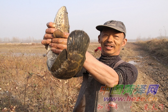 草鱼苗的养殖技术视频_致富养殖草鱼苗技术与管理_致富经草鱼苗养殖技术