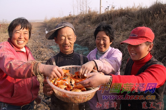 致富经草鱼苗养殖技术_致富养殖草鱼苗技术与管理_草鱼苗的养殖技术视频