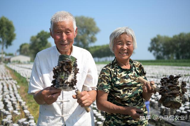 东北养殖什么致富_东北养殖什么赚钱_东北养殖业致富项目