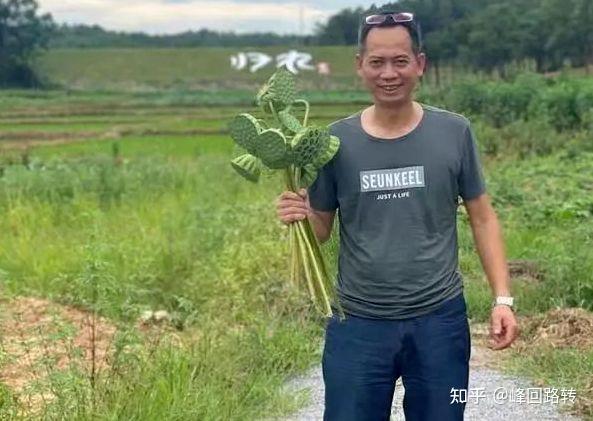 苜蓿种植致富_种苜蓿赚钱吗_致富种植苜蓿产量