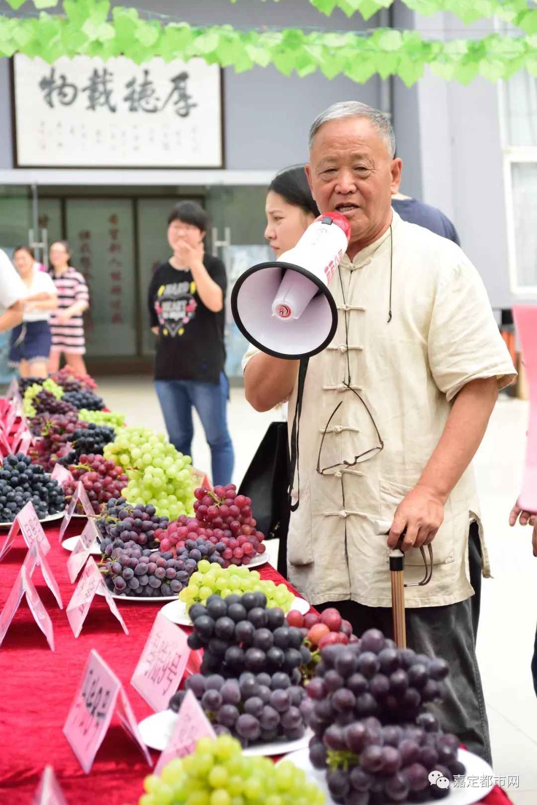 种葡萄大棚挣钱吗_葡萄树大棚种植_种植藤引葡萄大棚致富