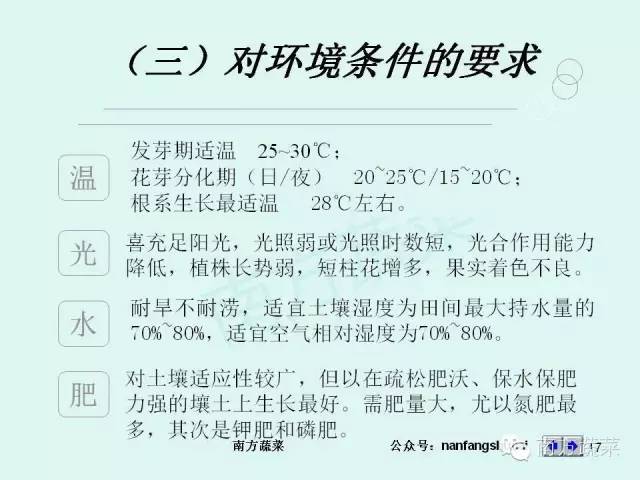 茄子高产种植技术视频_茄子高产种植技术与管理_茄子种植高产技术