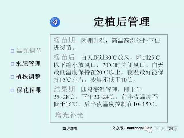 茄子高产种植技术视频_茄子种植高产技术_茄子高产种植技术与管理