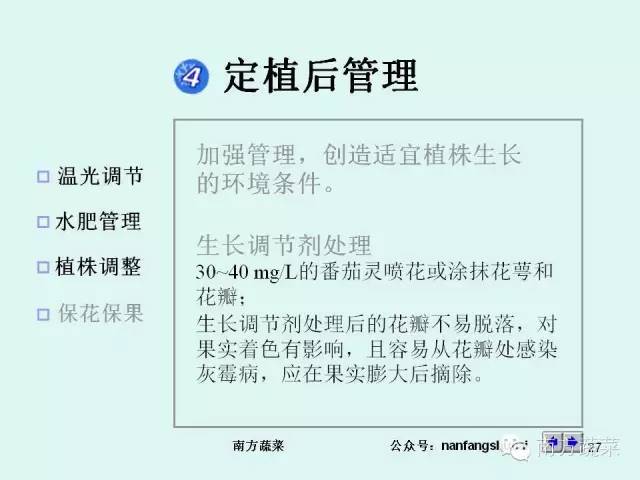 茄子高产种植技术与管理_茄子种植高产技术_茄子高产种植技术视频