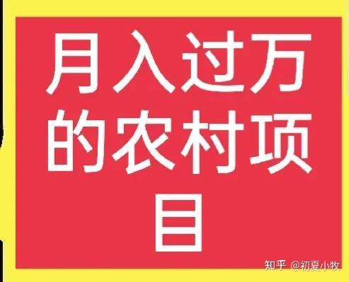 农村穷人做什么项目能月入过万元？这五个好项目值得一试