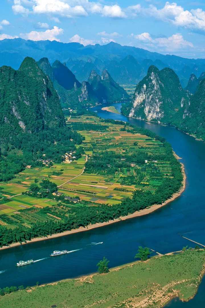 种植地黄的效益_地黄种植技术及经济效益_地黄种植致富