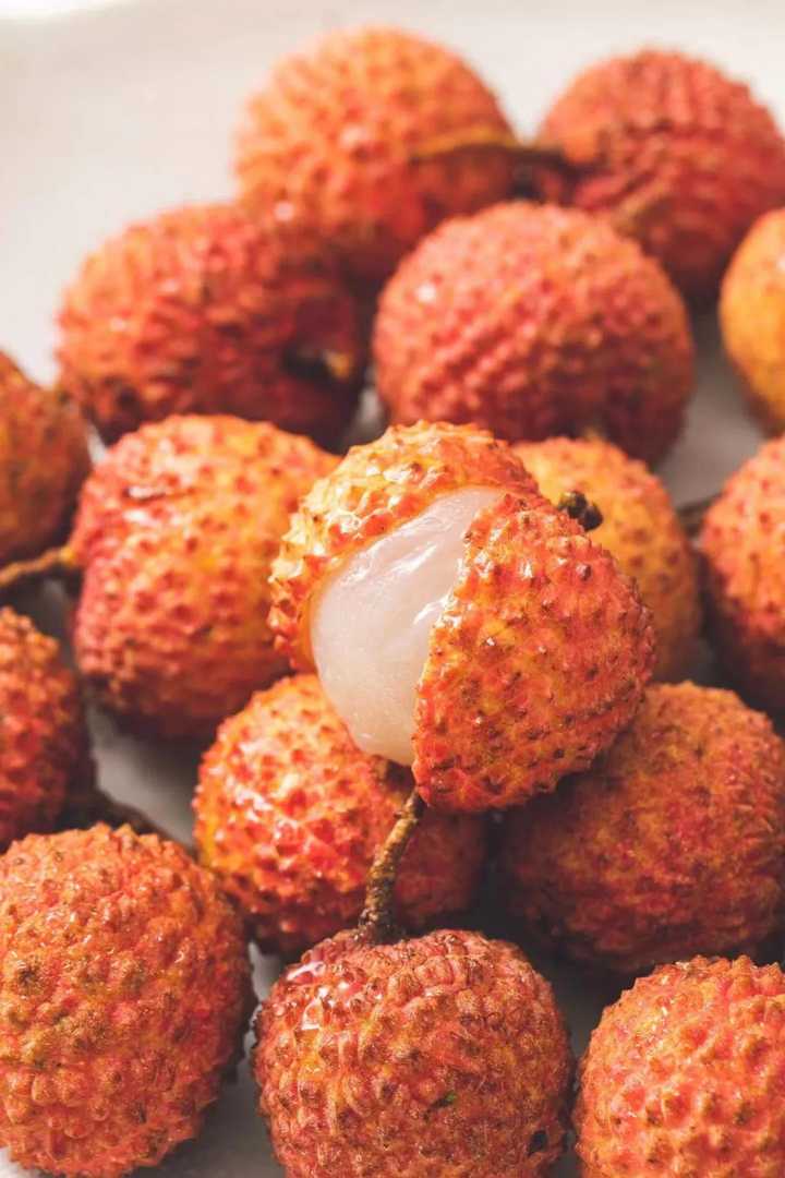 种植地黄的效益_地黄种植技术及经济效益_地黄种植致富