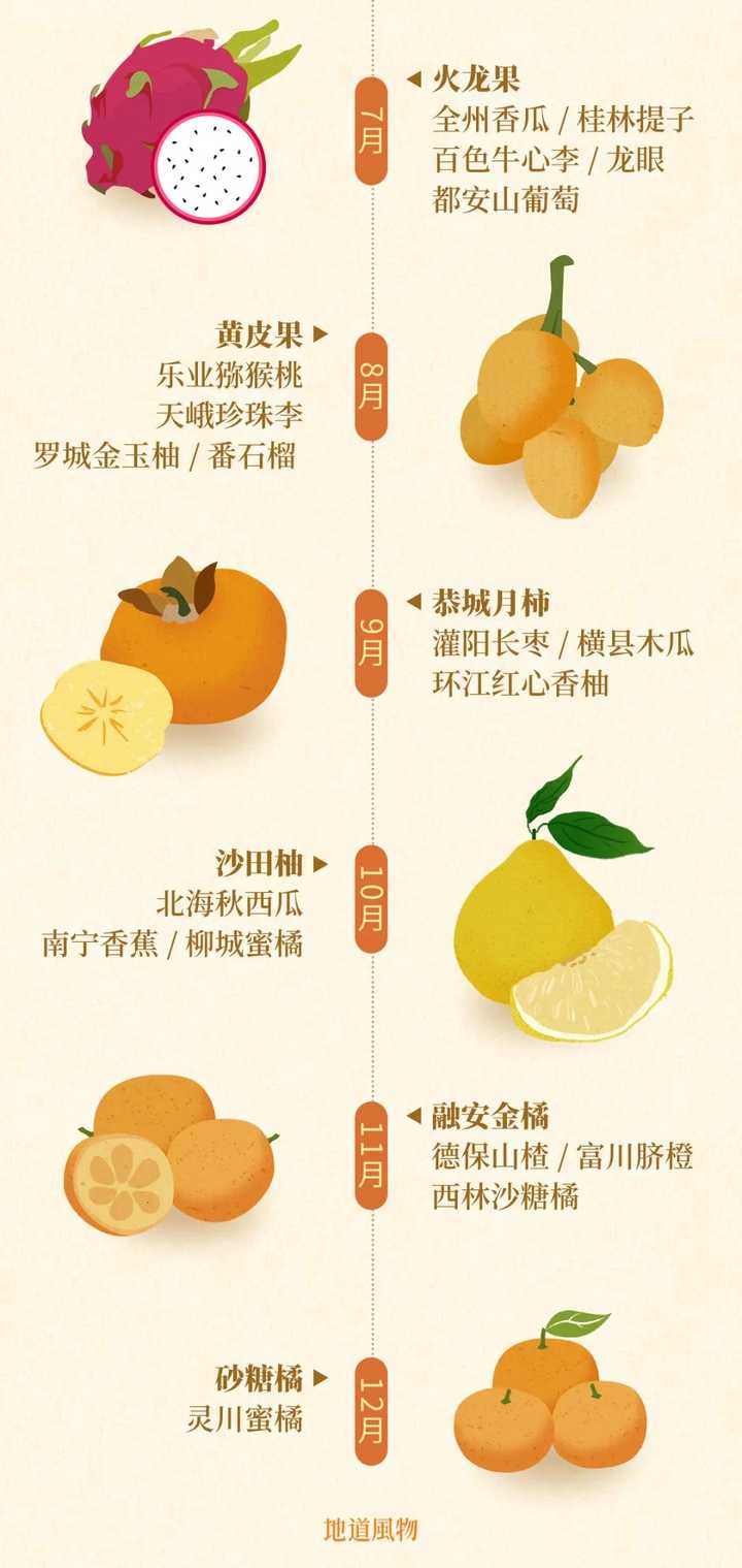 种植地黄的效益_地黄种植致富_地黄种植技术及经济效益