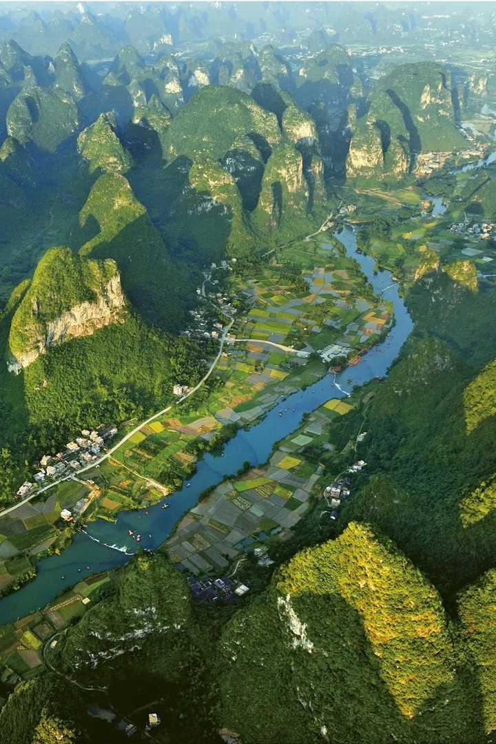 地黄种植致富_种植地黄的效益_地黄种植技术及经济效益