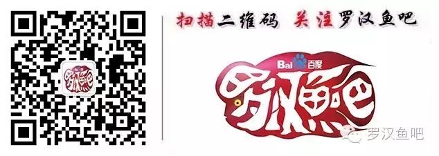 肉鸡养殖通风技术_养殖蛋鸡技术_平鲷养殖技术