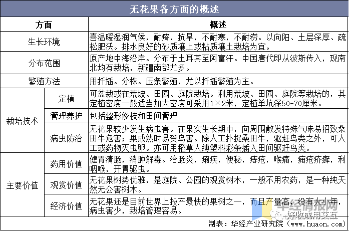 种植广东无花果技术要点_广东种无花果要注意什么_广东无花果种植技术