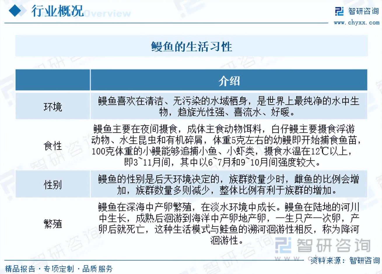 河鳗家养方法_河鳗养殖技术视频_河鳗养殖繁殖技术大全