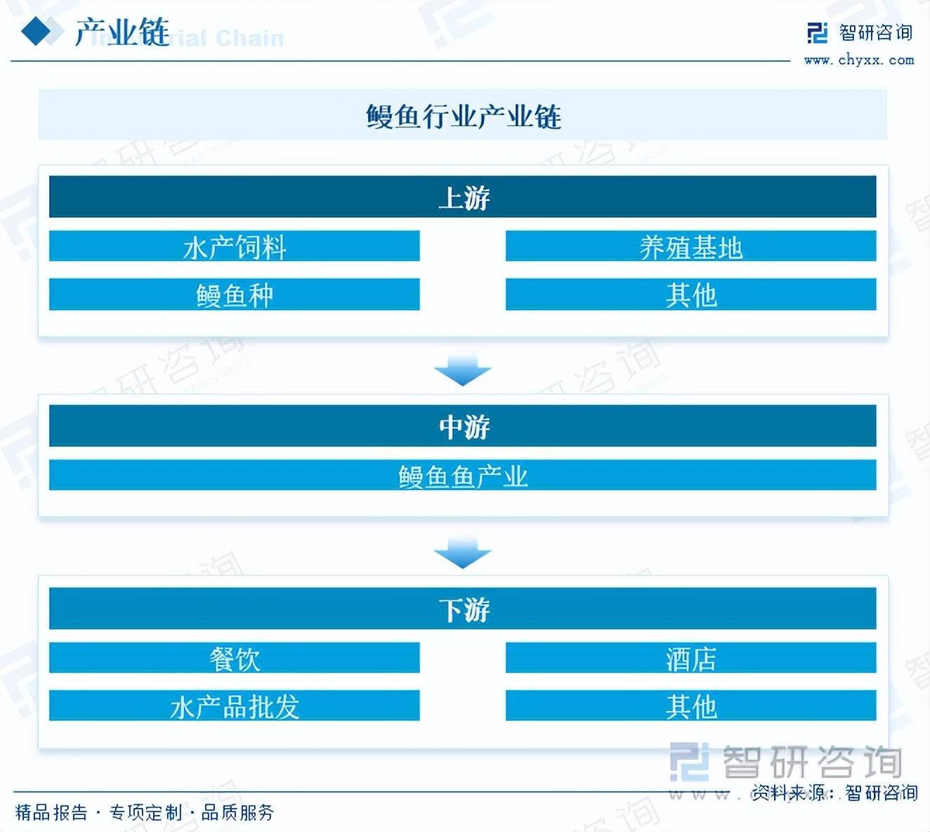 河鳗养殖繁殖技术大全_河鳗家养方法_河鳗养殖技术视频