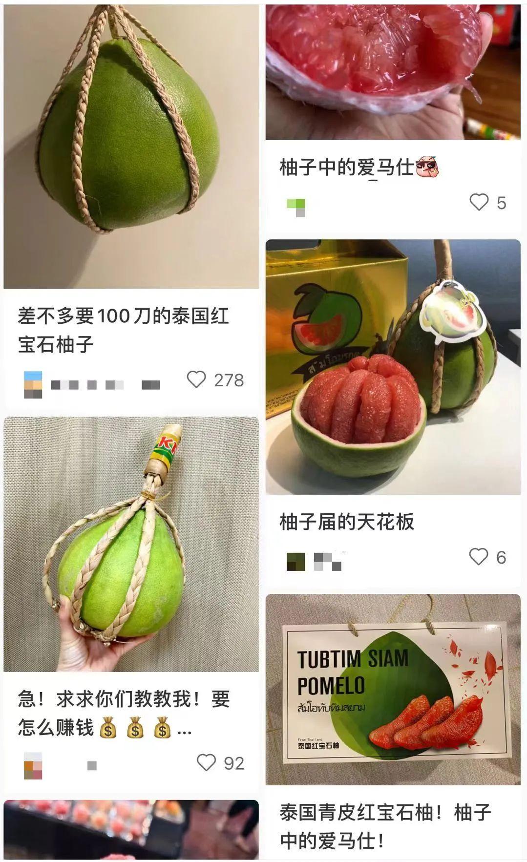 湖南种植柚子技术_柚子湖南种植技术和管理_湖南柚子苗