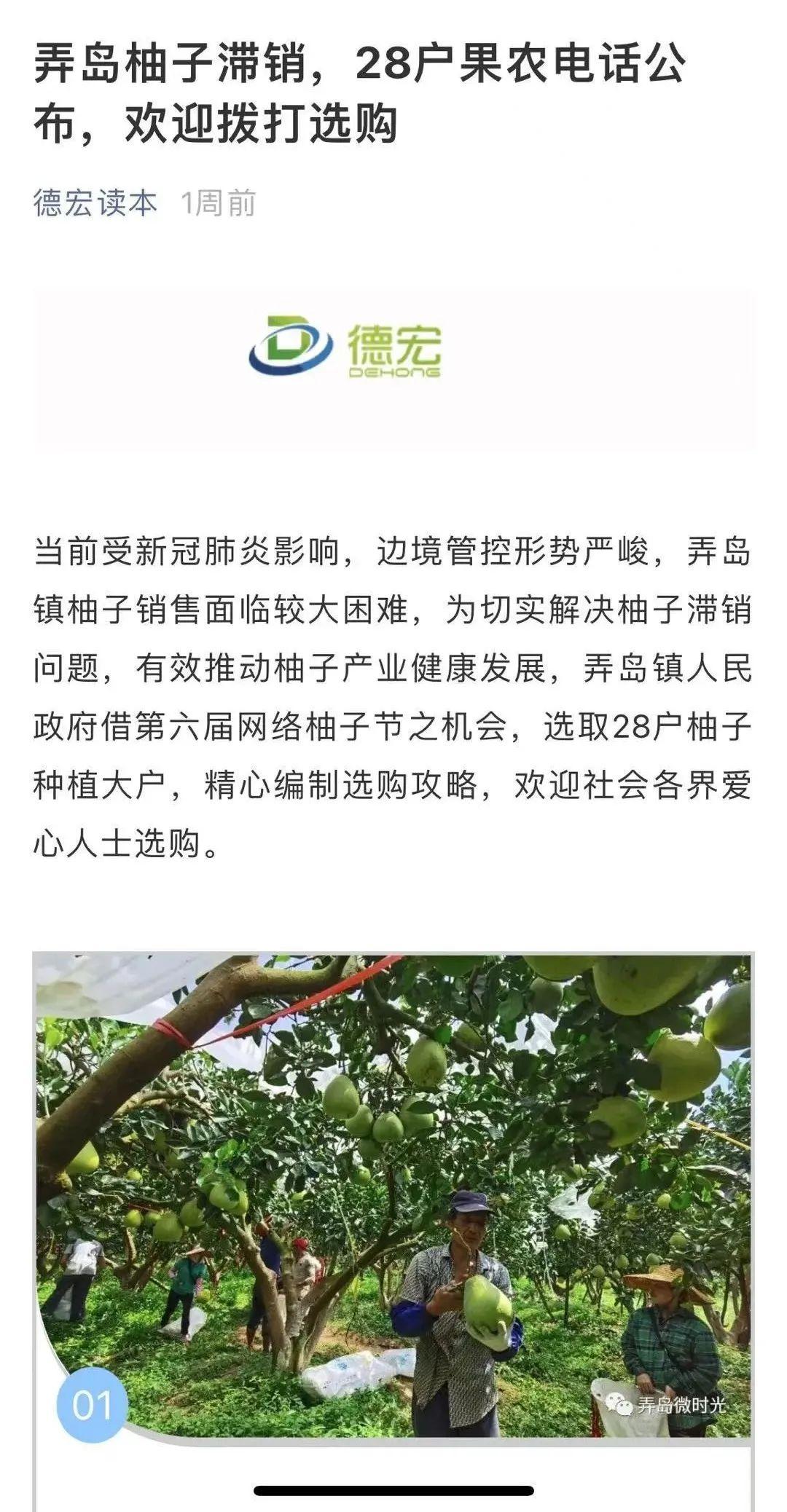 湖南种植柚子技术_柚子湖南种植技术和管理_湖南柚子苗