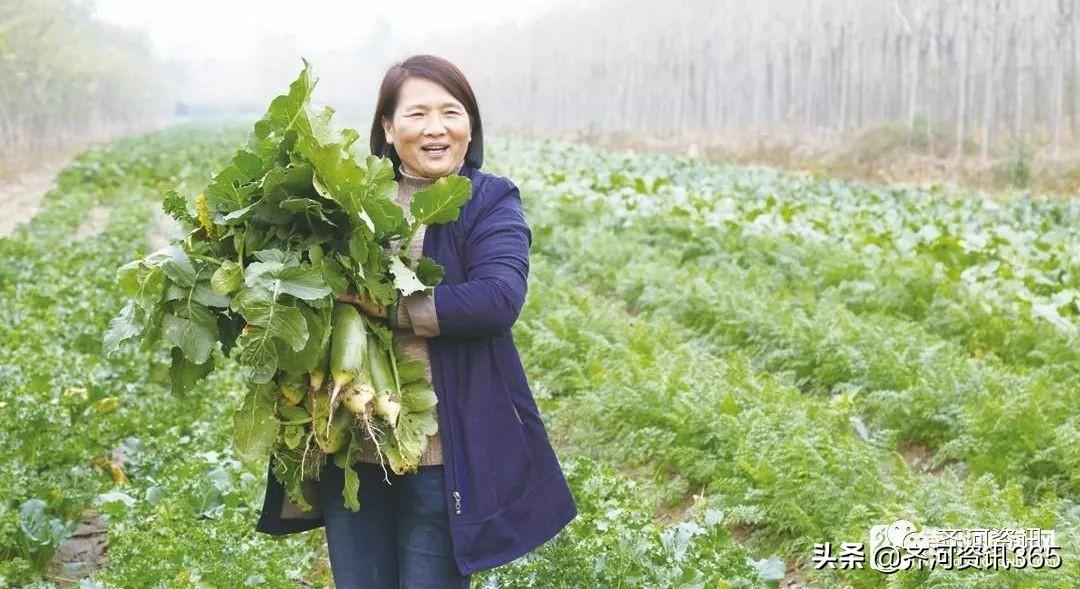 致富经养牛的女人_致富经女强人养羊视频_致富经养羊女强人