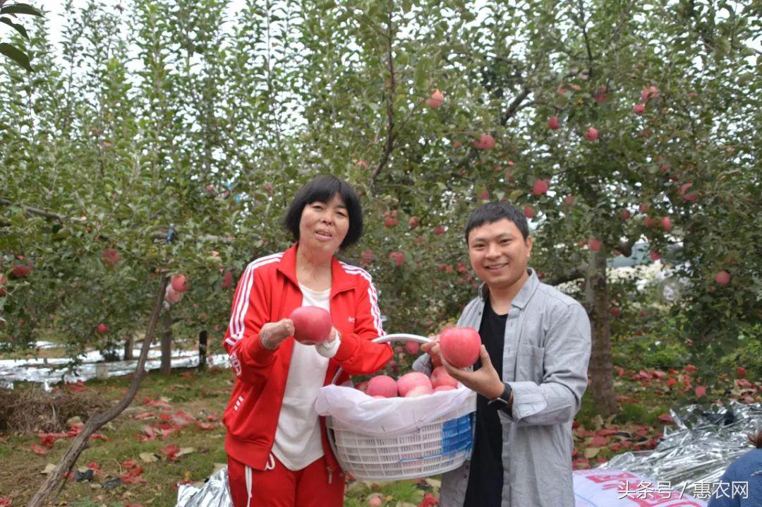 致富经养牛的女人_致富经养羊女强人_致富经养羊成功人视频